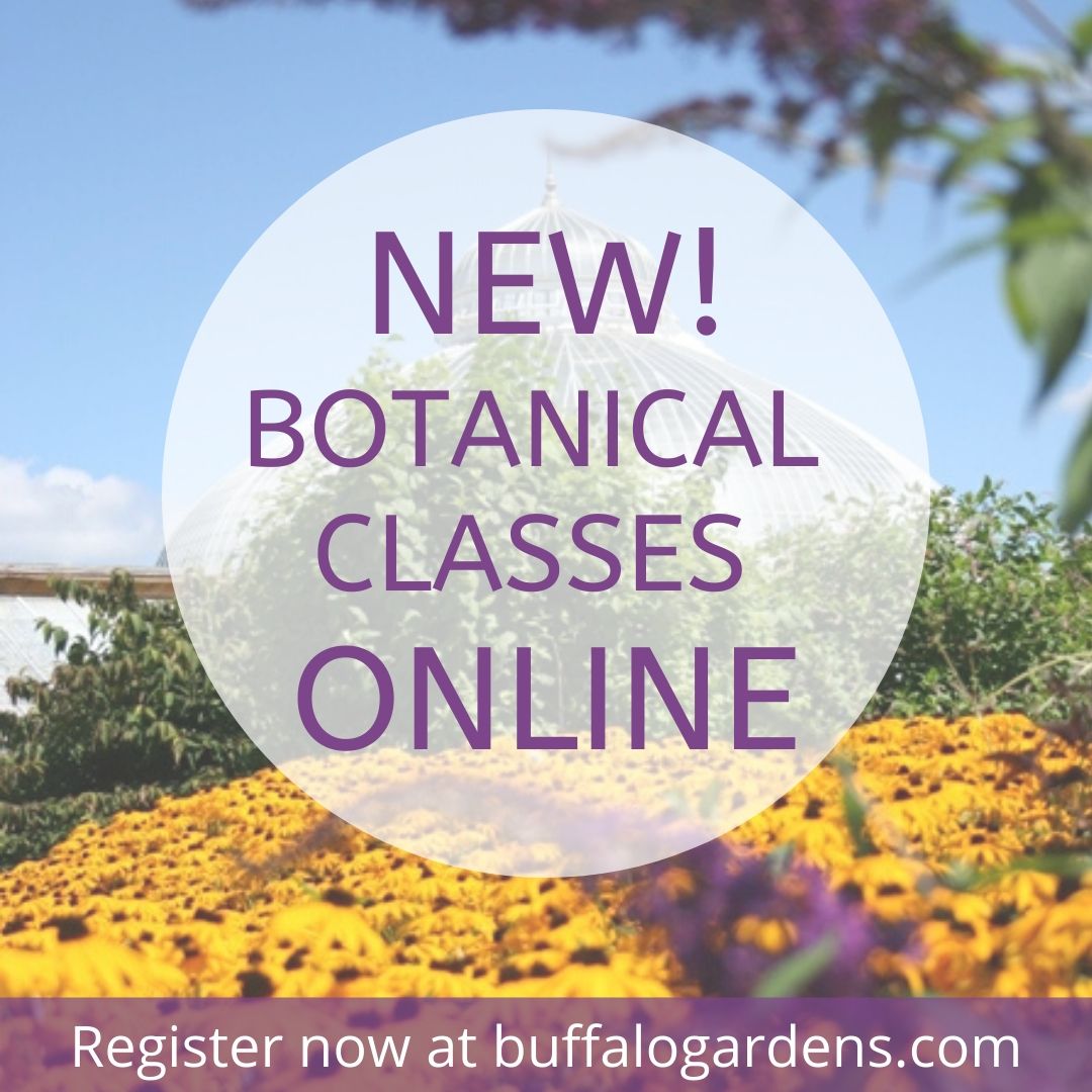NEW! Botanical Classes