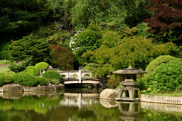 Courtesy of Brooklyn Botanic Garden - Photo by Steven Severinghaus