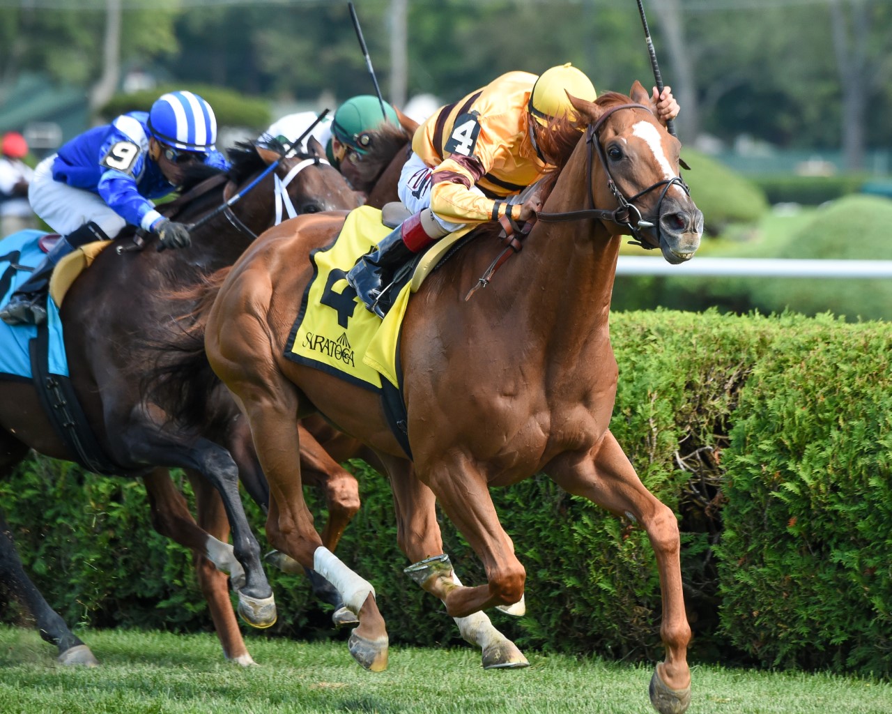Wise Dan