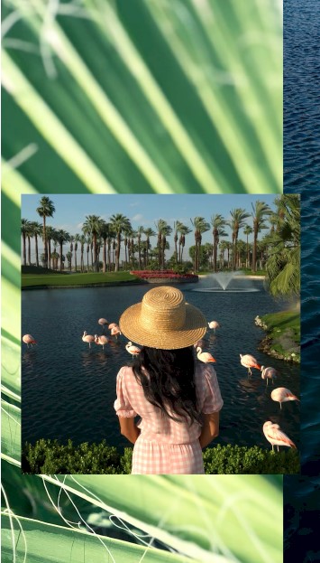 Women watching pink flamingos at the JW Marriott.