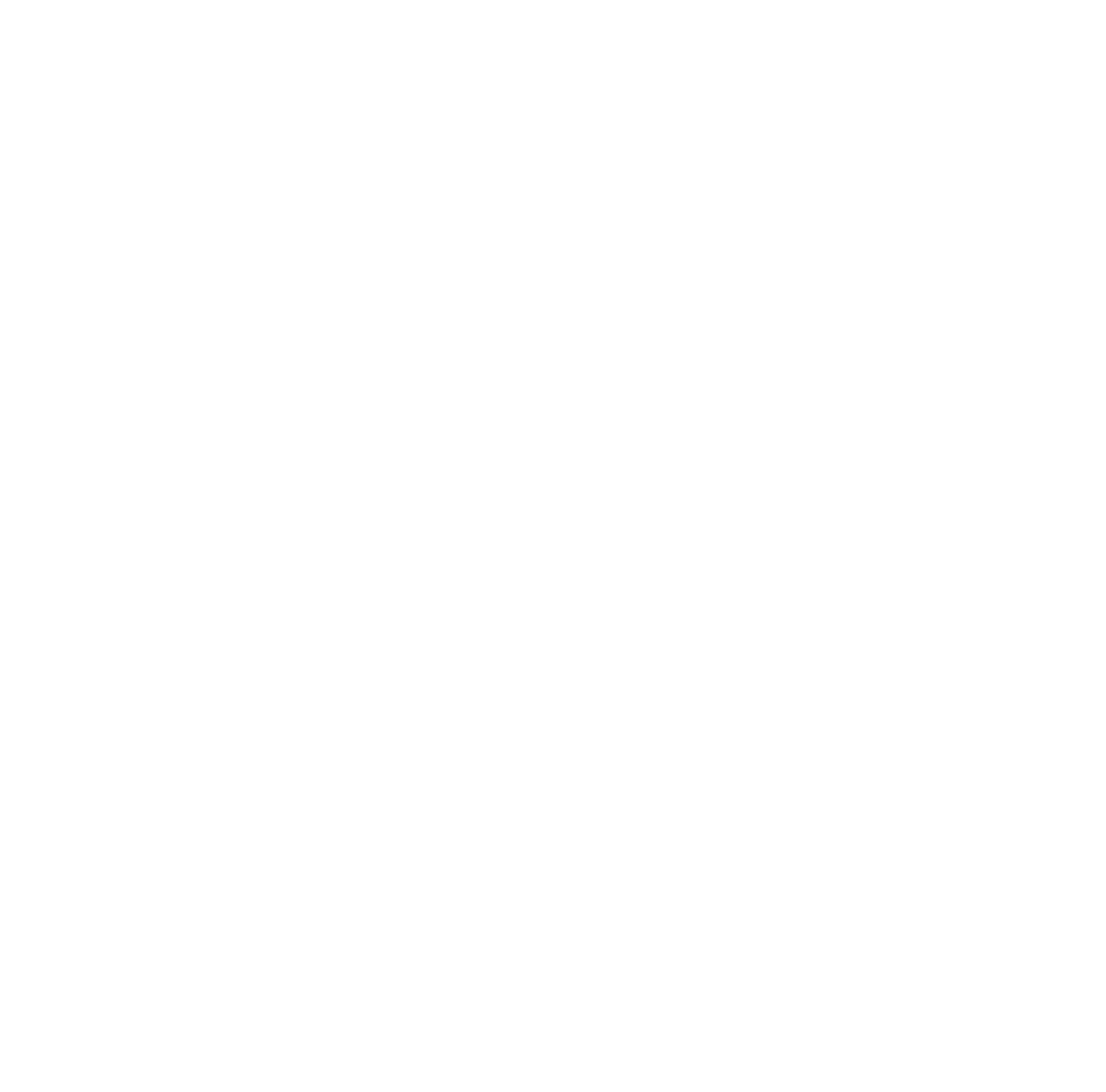 Palm Springs Surf Club logo