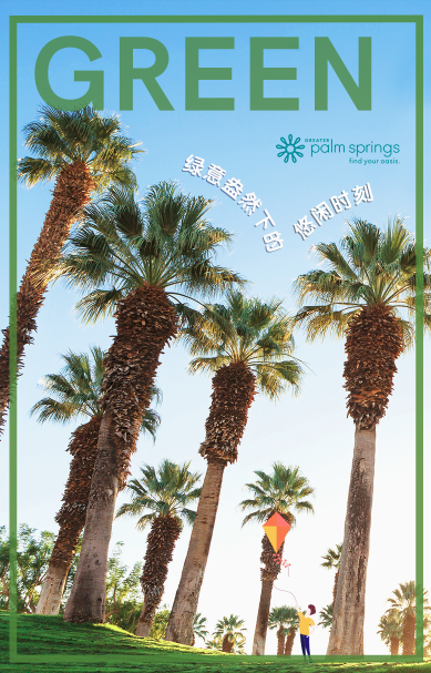Palm Tree photo for Weibo post