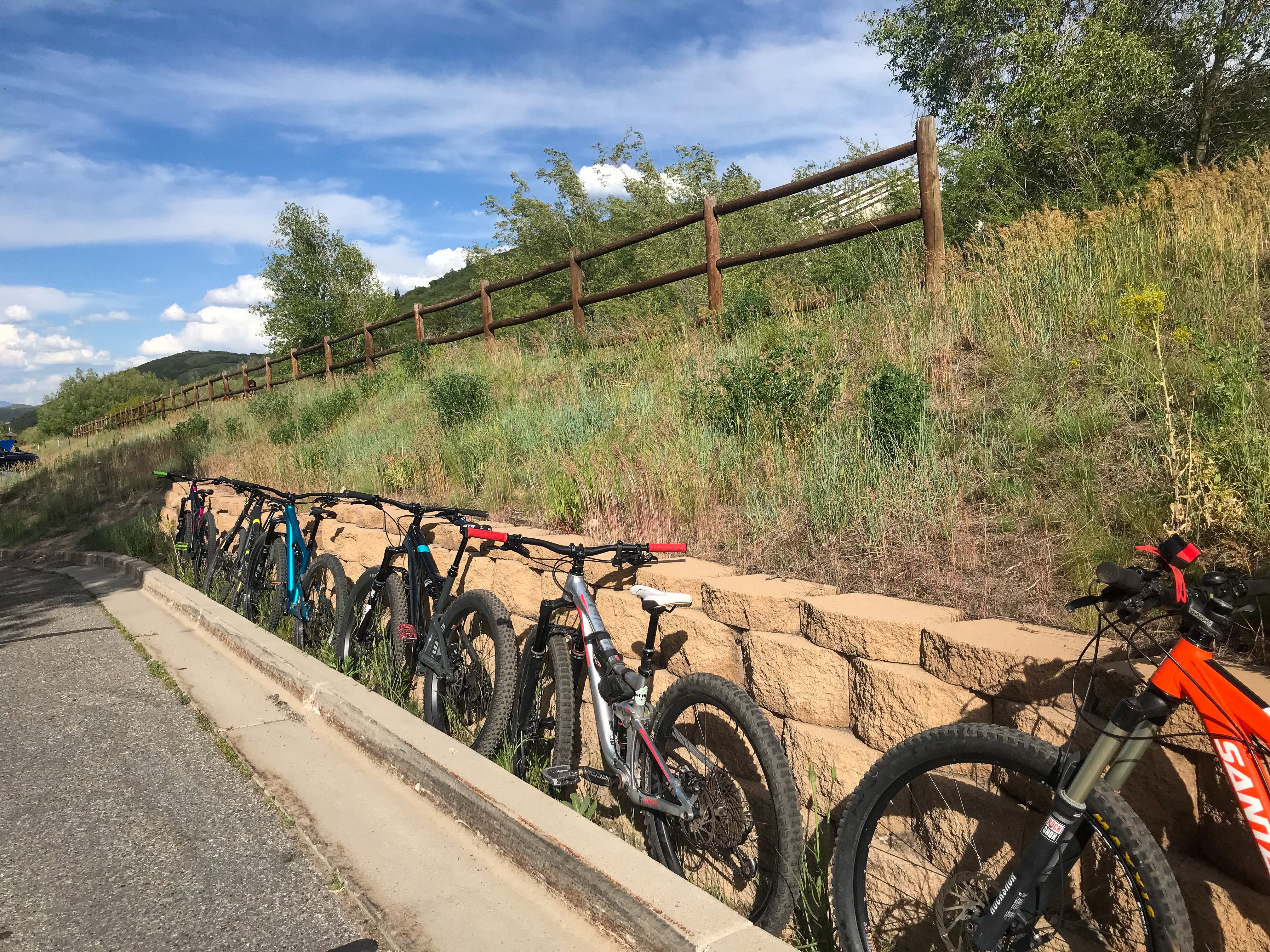Mountain Bikes in a line along a wall