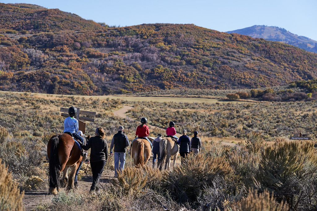 Group or people walking and riding horses on a trail