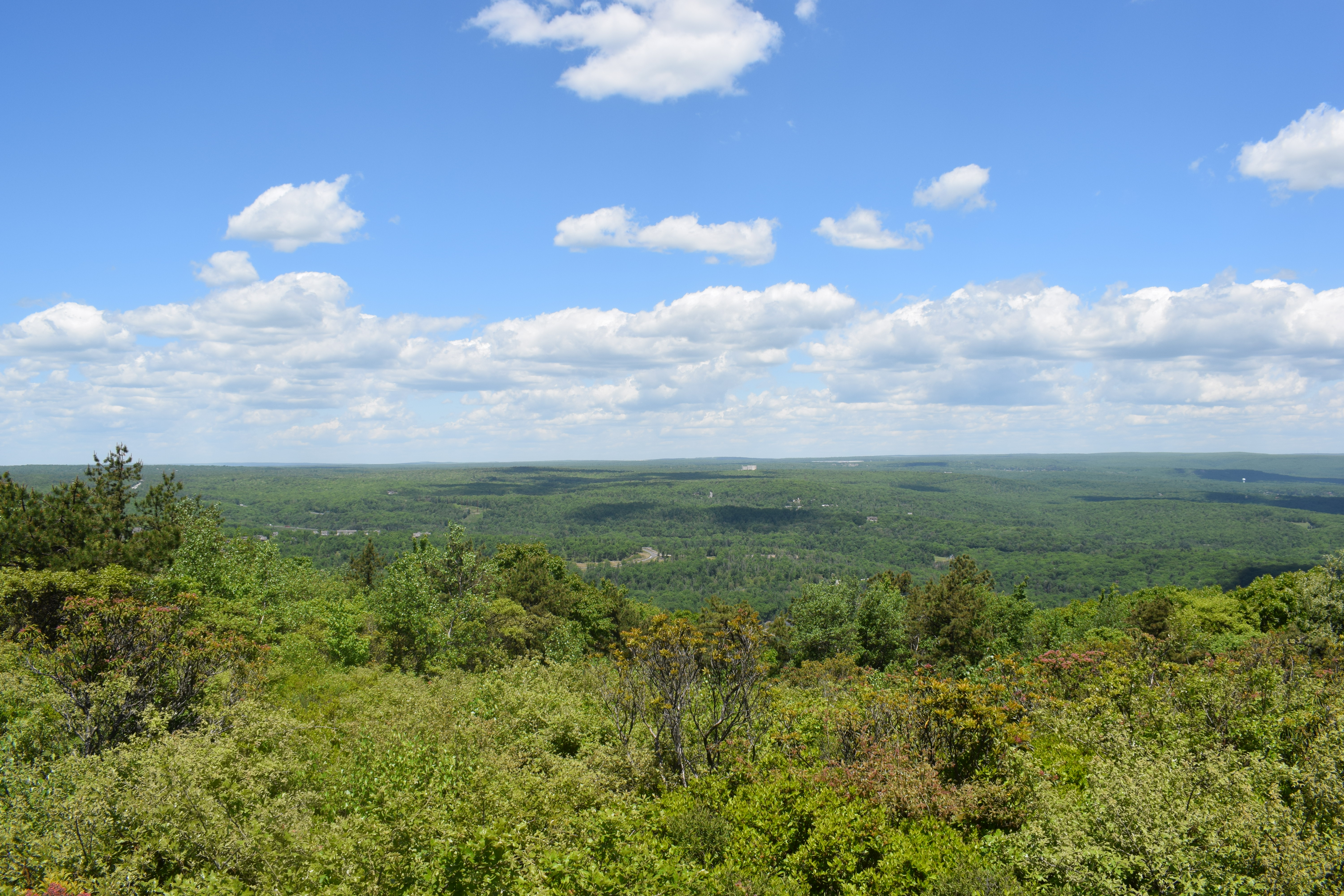 Scenic View Big Pocono State Park