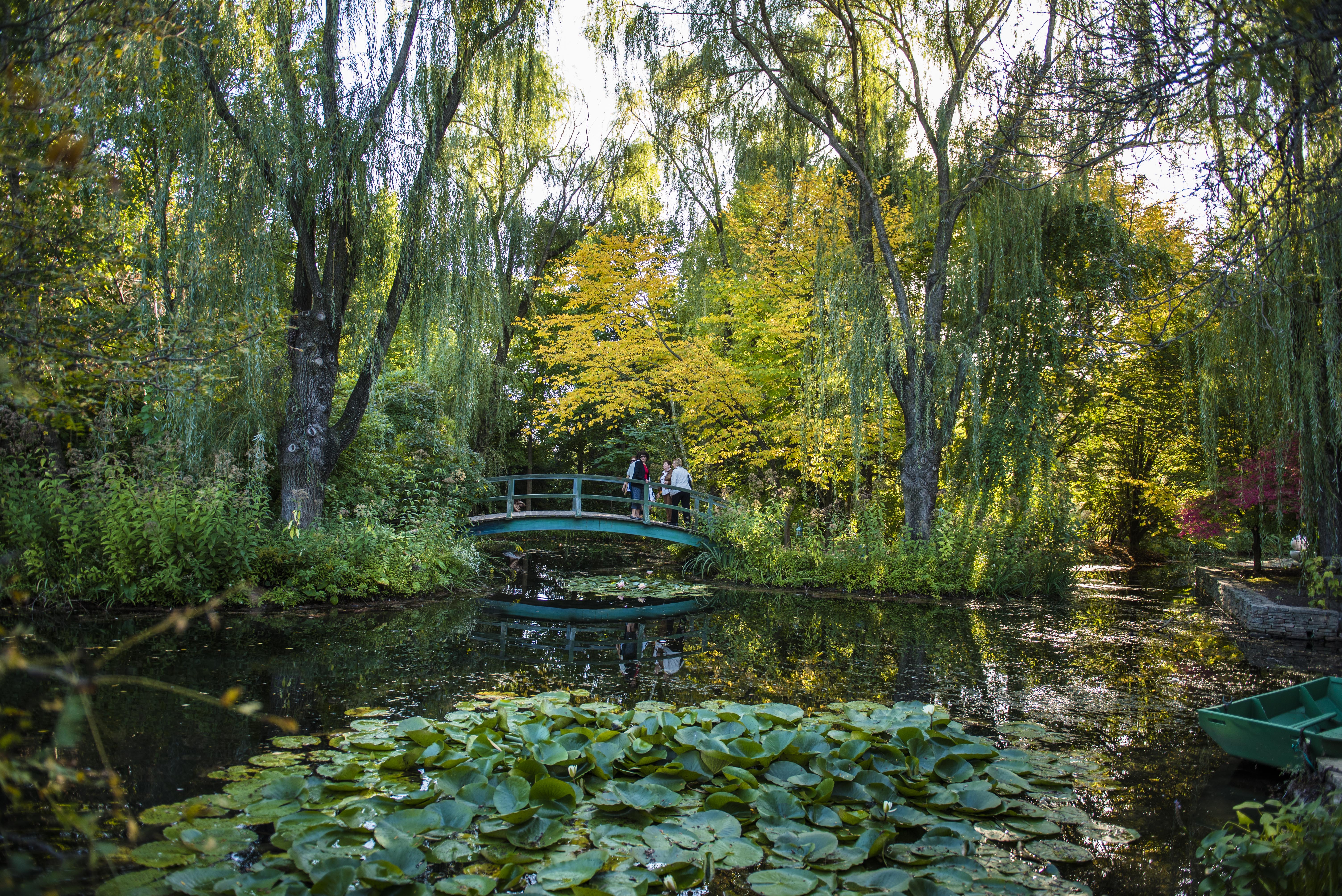 a small lake covered with lilies floating on the water with a green wooden bridge crossing over