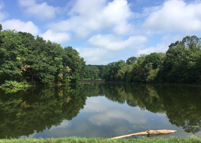 A view of the water and woodlands at the Mountain Lakes Nature Preserve Trail