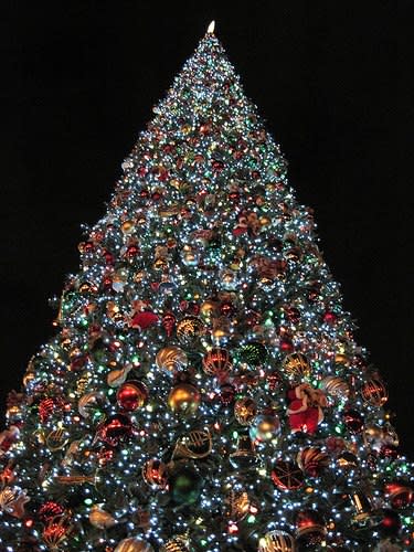 A very large christmas tree lit up looking at it from a low angle