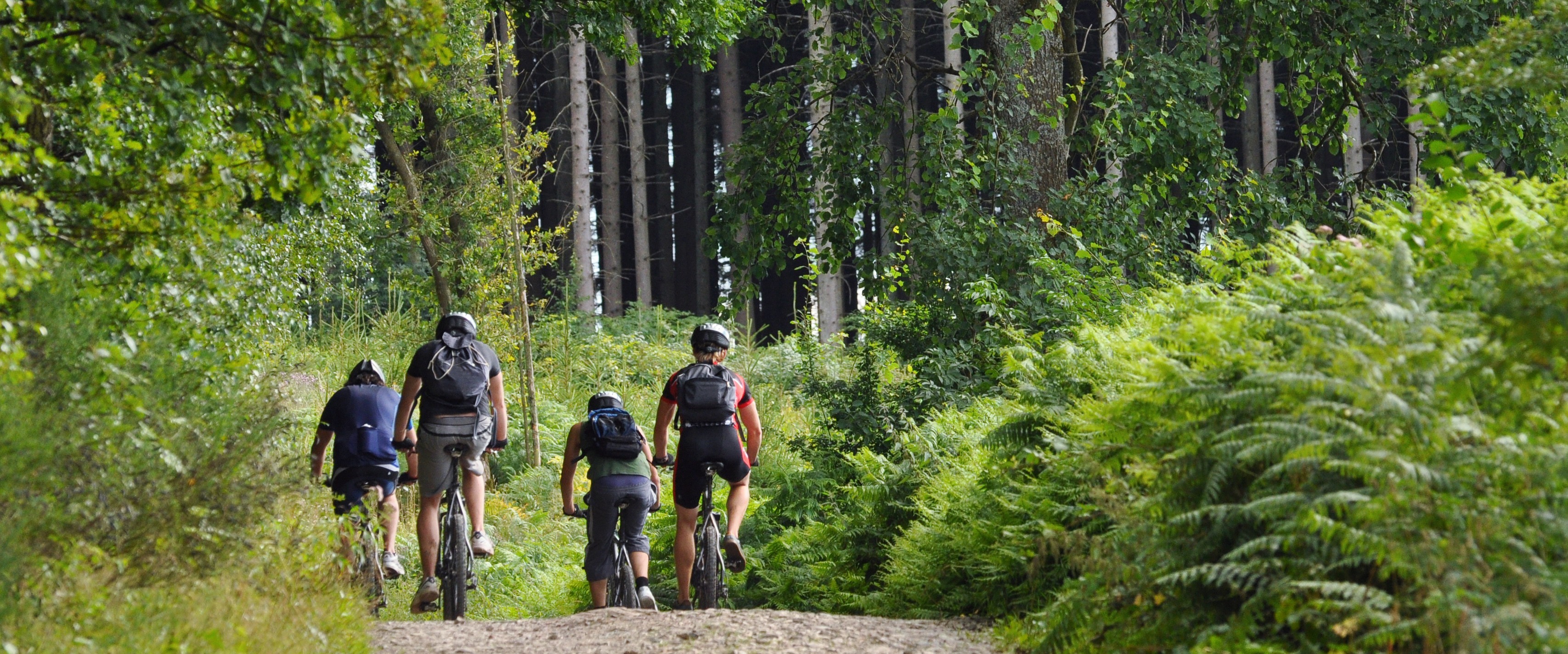 Group biking on gravel trail through park forest