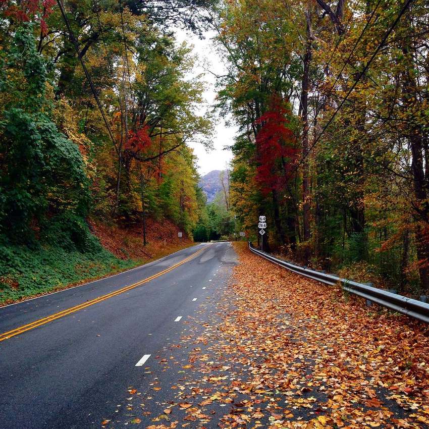 A winding road through colorful autumn trees in Rutherford County