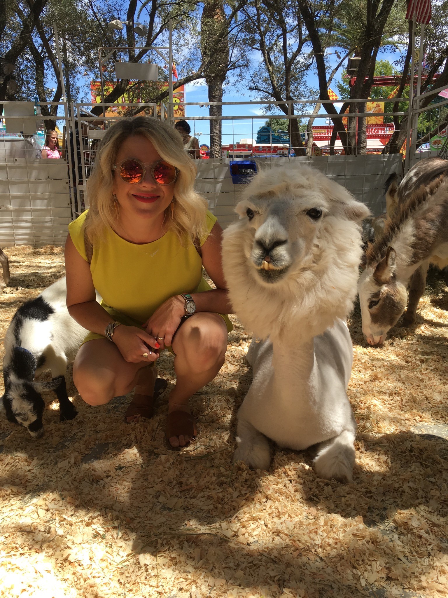 CA State Fair petting zoo