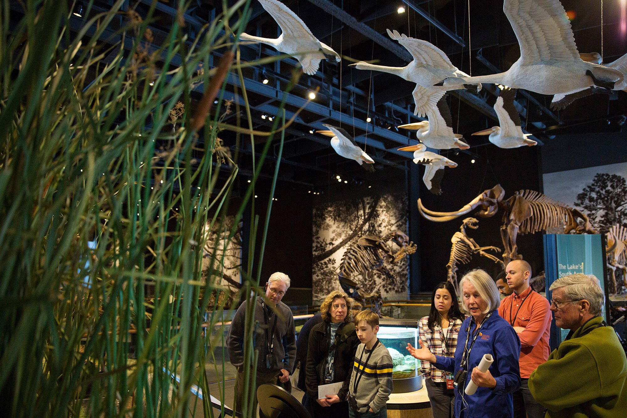 Come explore Utah's biomes in the Life Gallery at The Natural History Museum of Utah