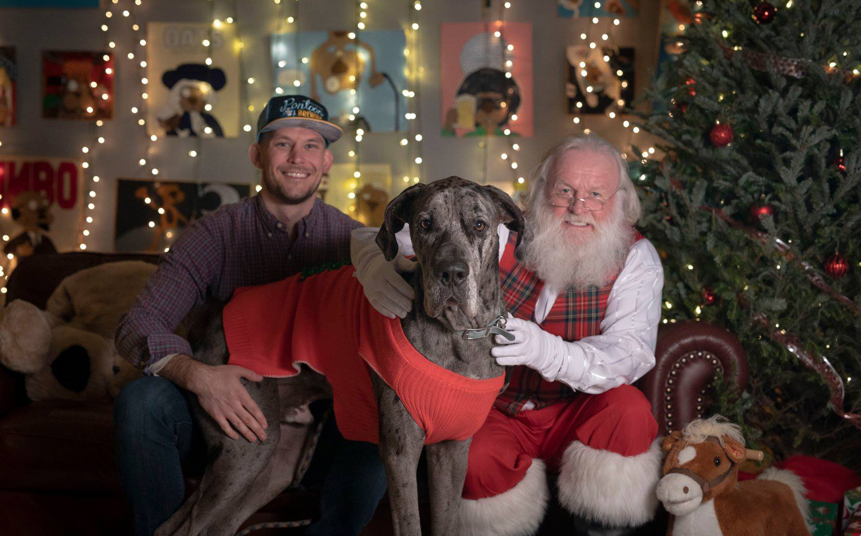 Santa, a great dane and the dog's owner posing for a photo.