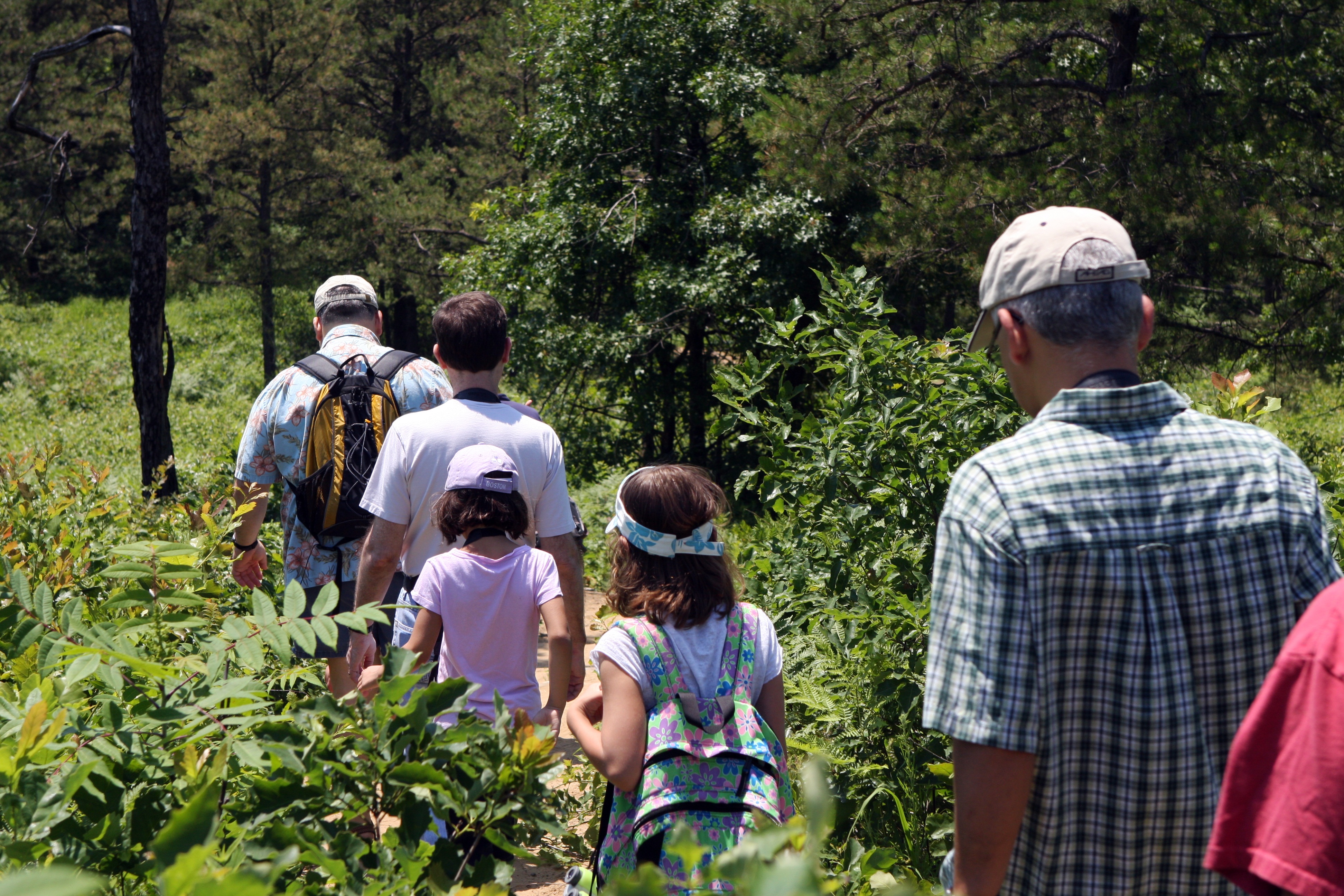 Group of children with adults hiking at Albany Pine Bush