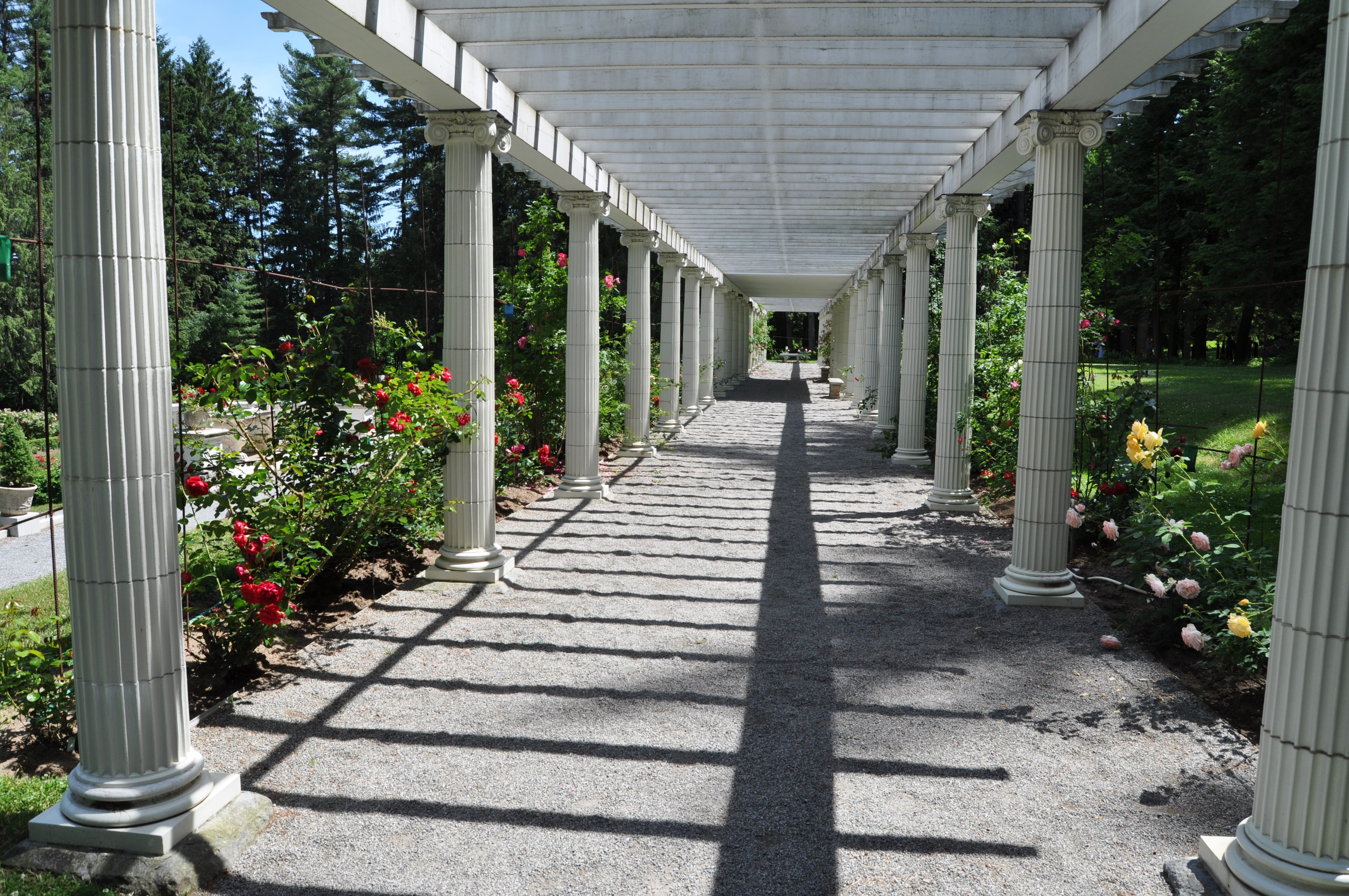 Yaddo pergola long view