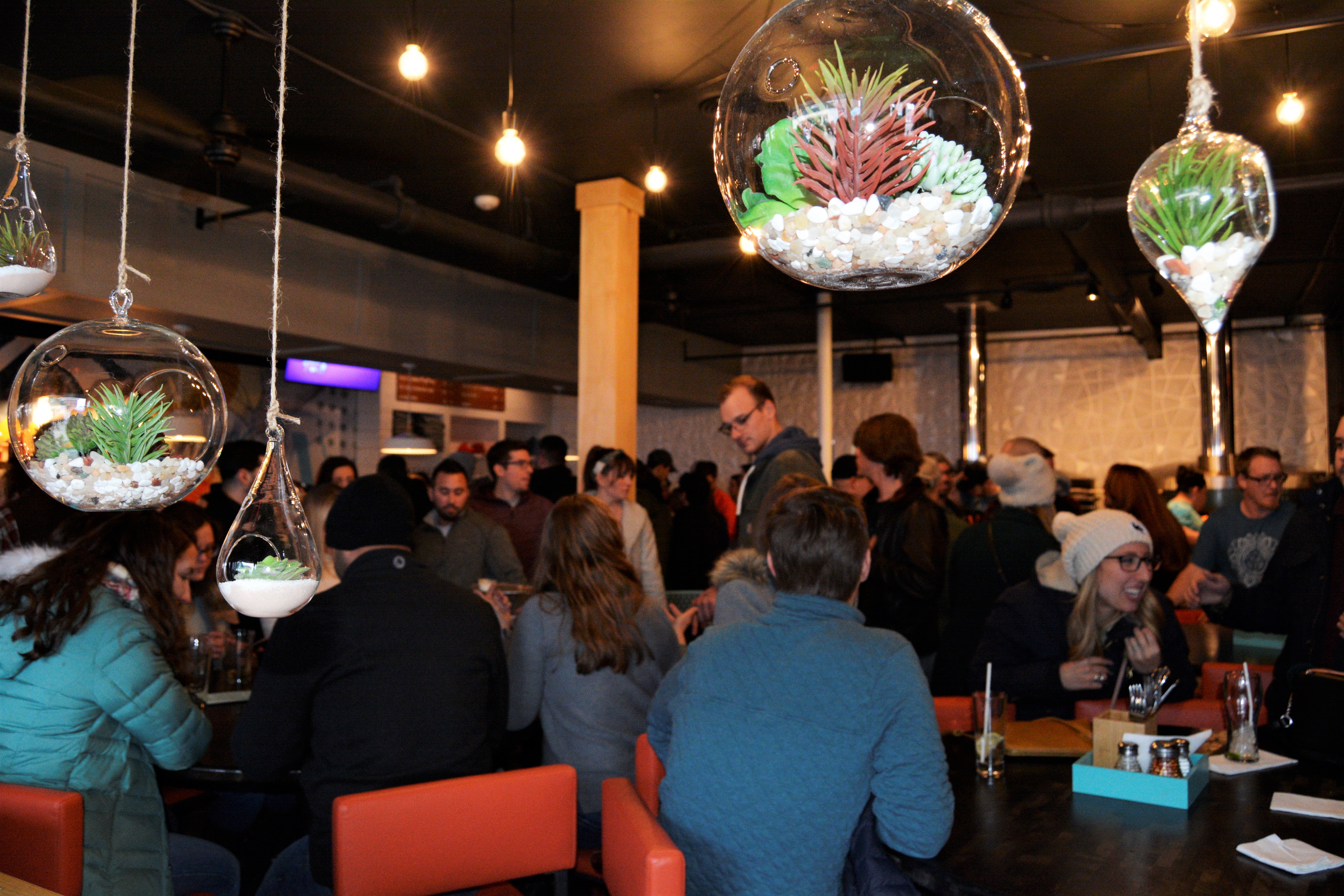 Interior shot of new Flatbread decor with hanging terrariums