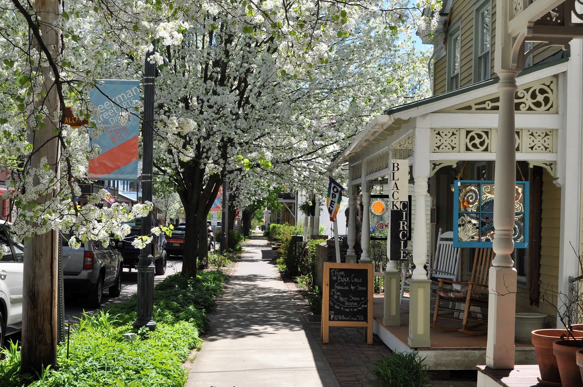 Springtime shot of Beekman Street galleries with many white blossoms on the trees