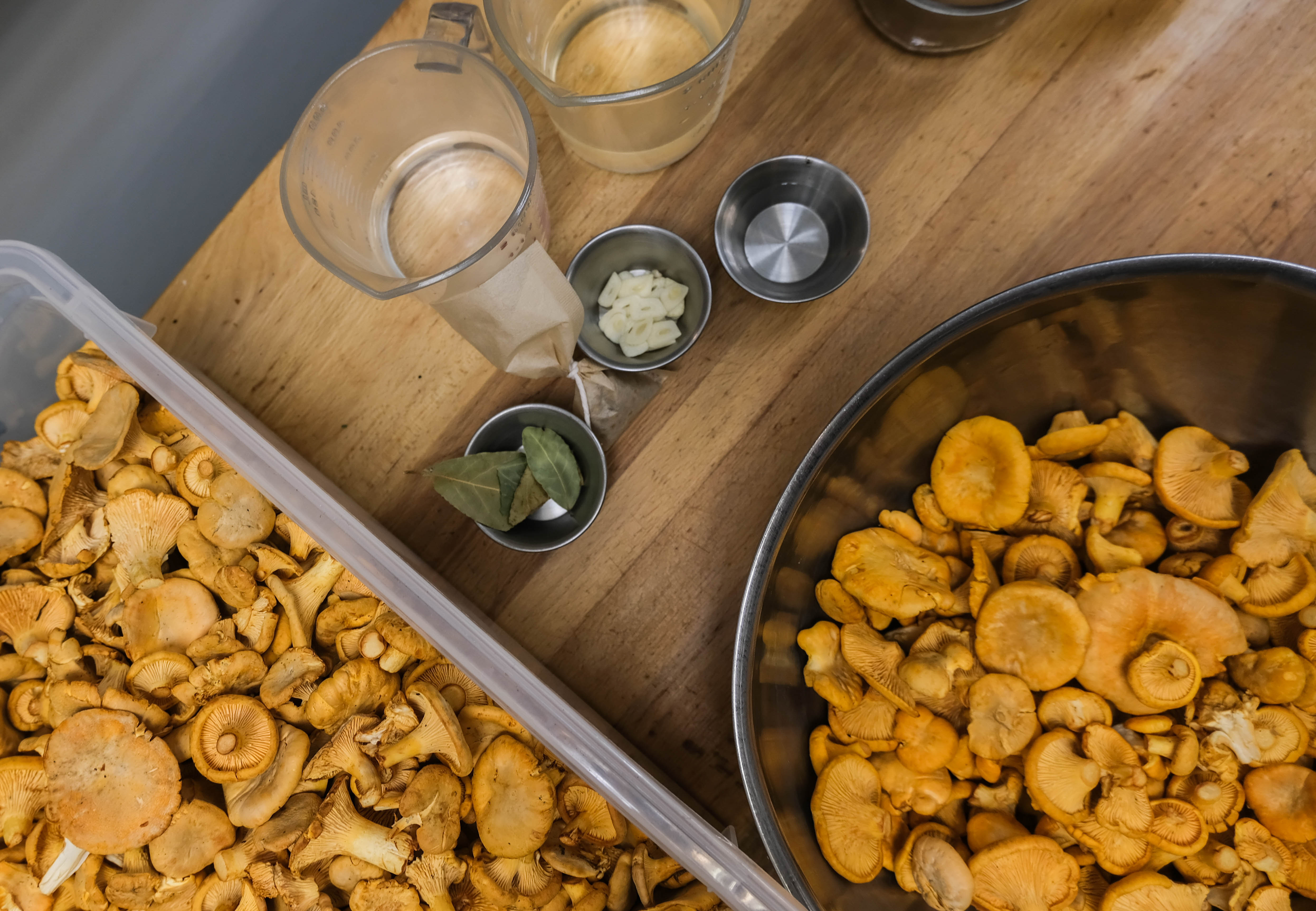 mushroom pickling set up