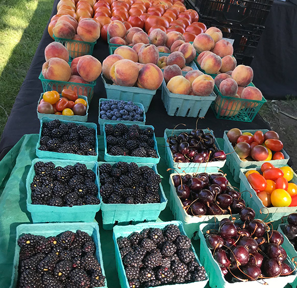 Cedar Lake Farmers Market fruit