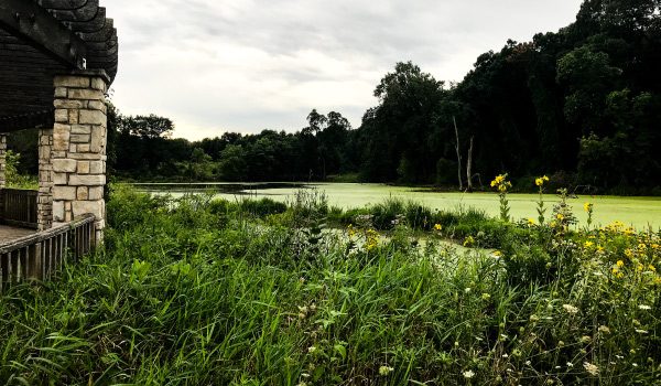 Gabis Arboretum Savanna Wetland - Carolyn Hricik