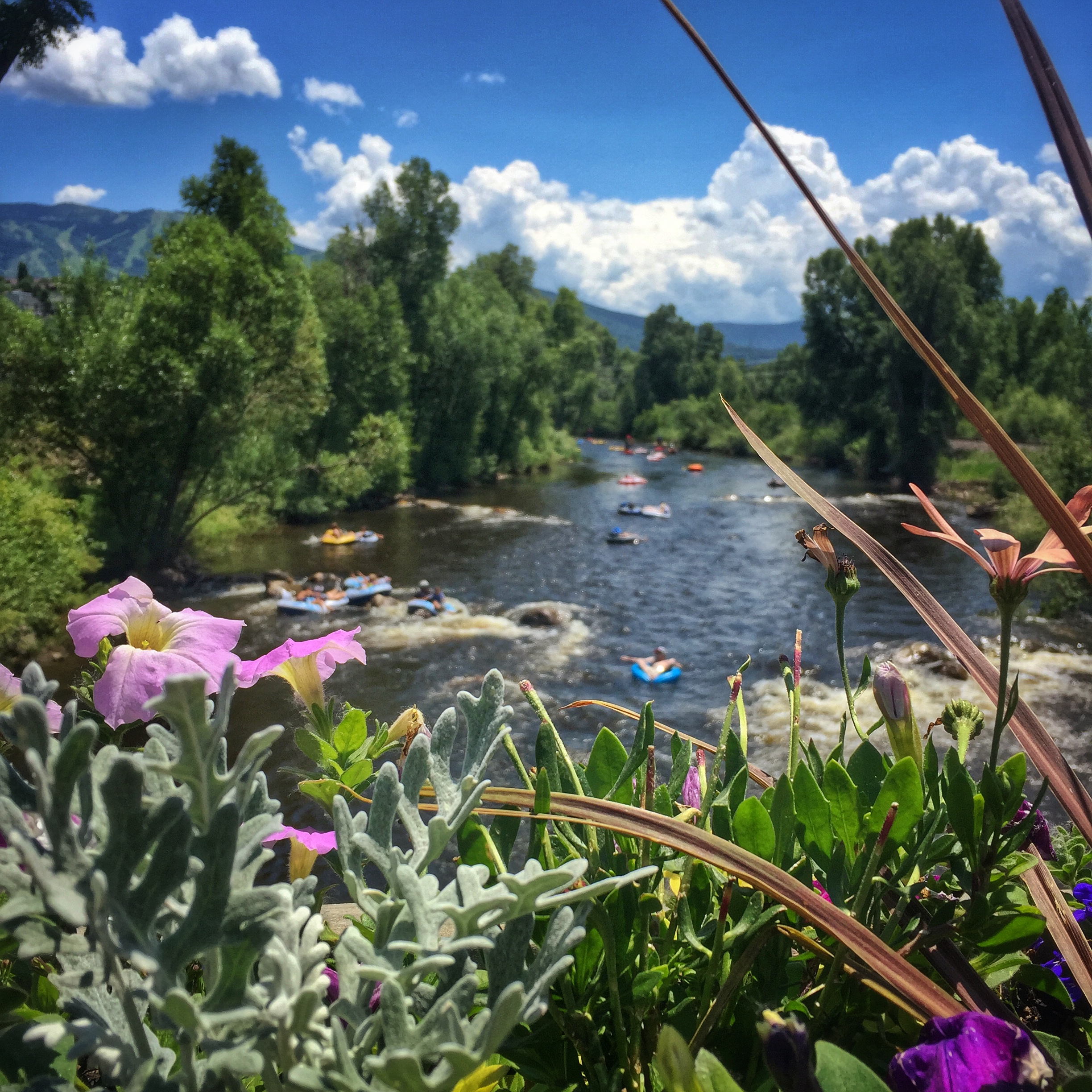 Views of the Yampa River from the Core Trail
