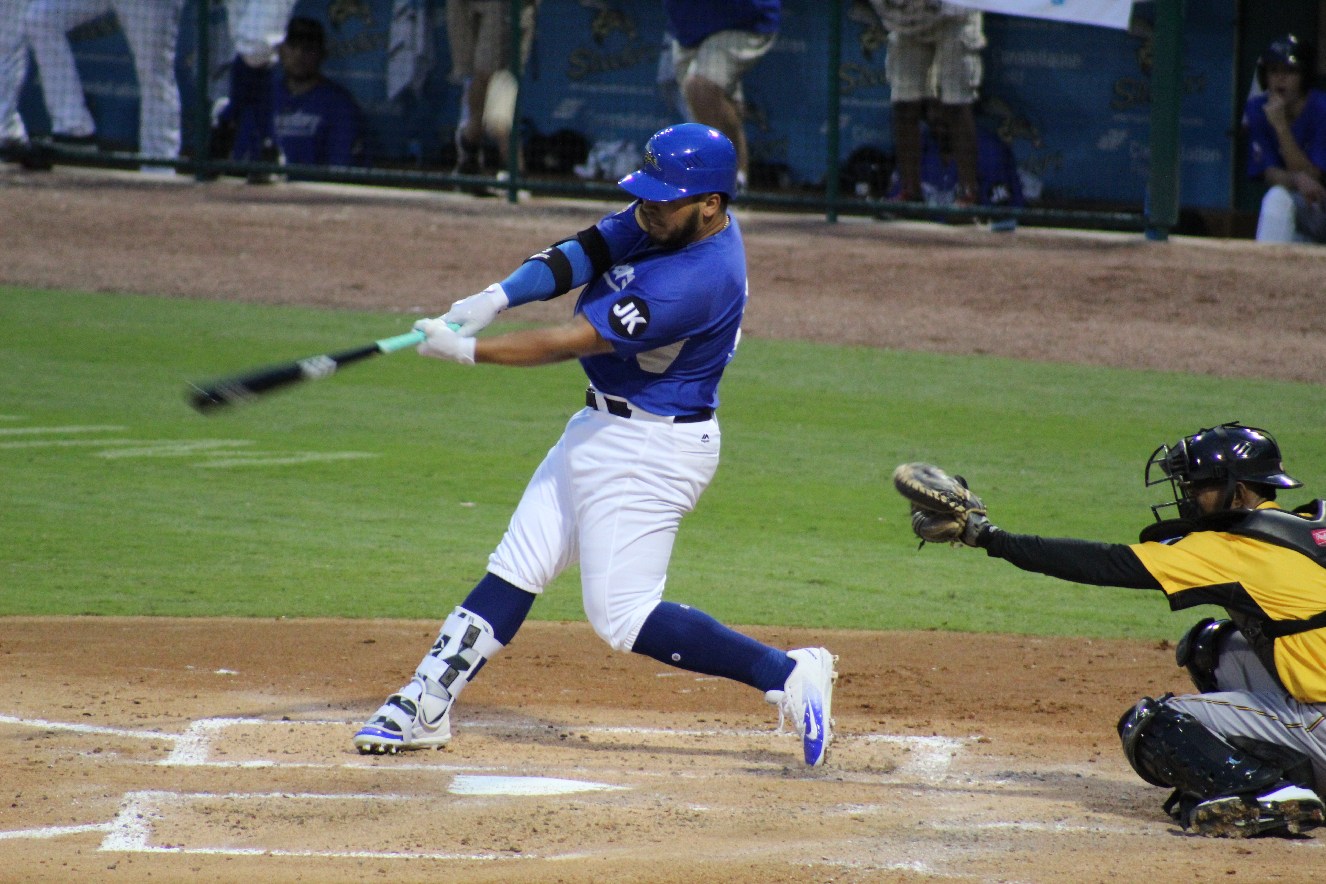 Sugar Land Skeeters player up to bat during a game.
