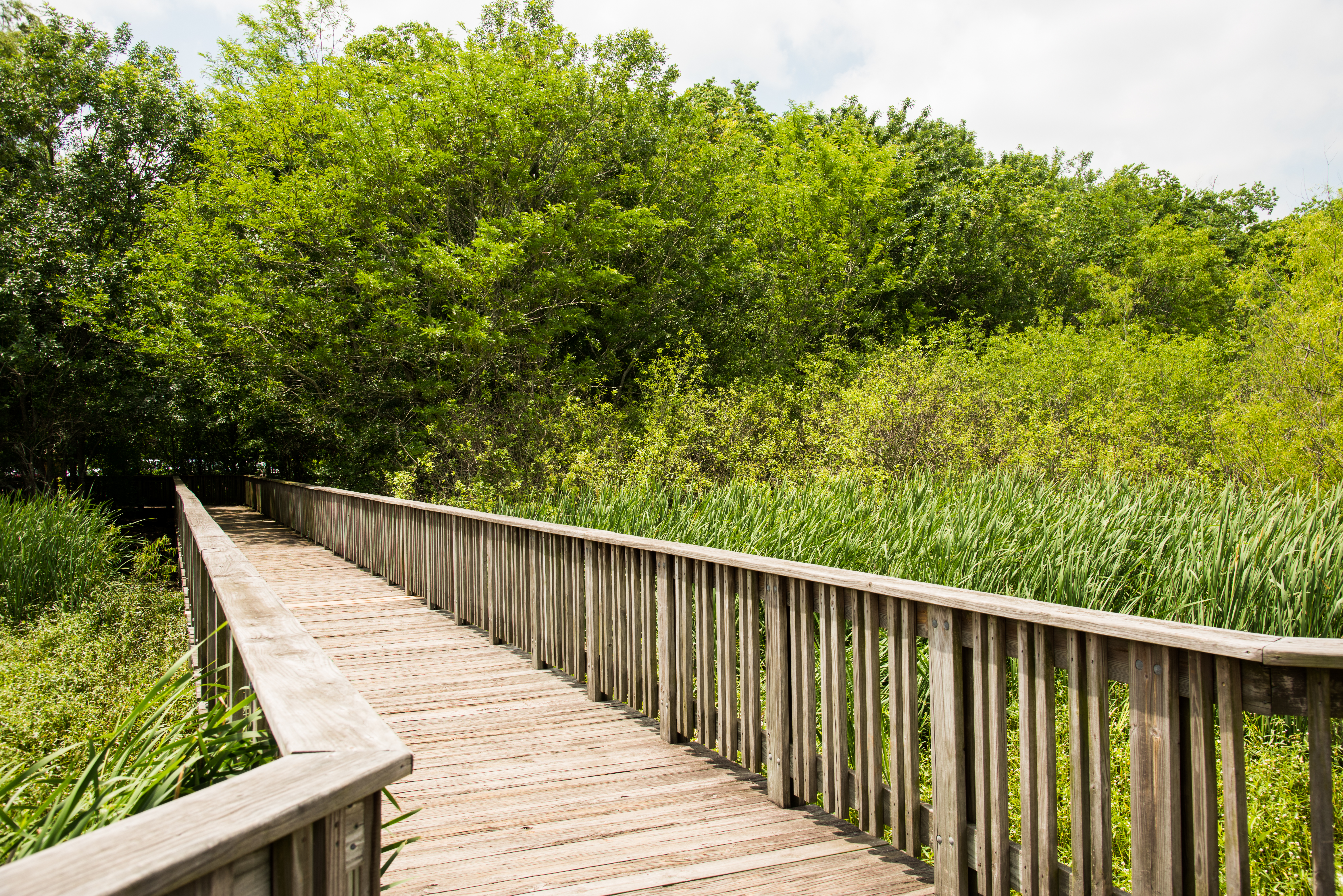 Boardwalk to the observation deck at Cullinan Park.