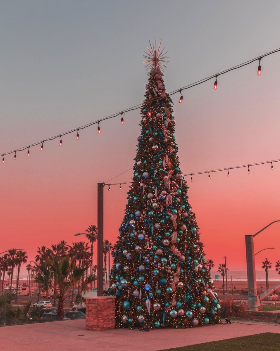 Giant Christmas Tree at the Pasea Hotel & Spa Oceanfront Resort in Huntington Beach