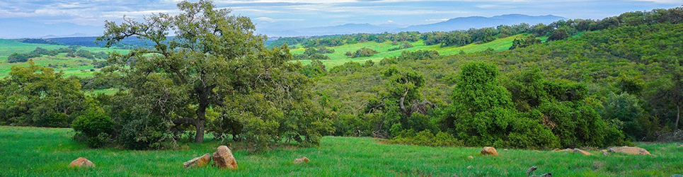 Santa Rosa Plateau