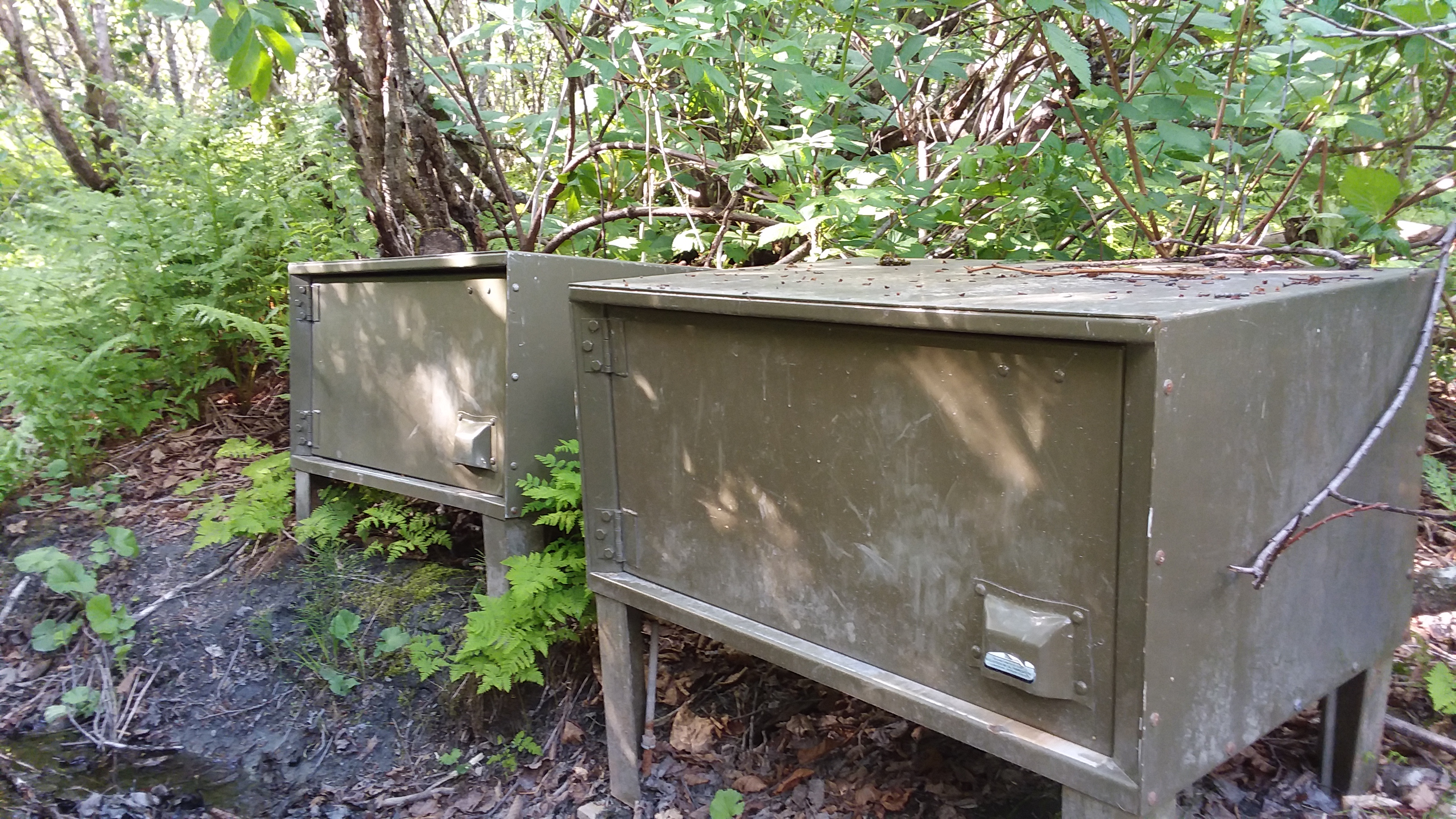 food lockers on a hiking trail to prevent bears
