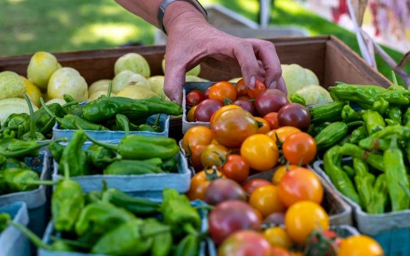 A hand selecting cherry tomatoes from a produce stand with peppers and squash at the East Vancouver Farmers Market