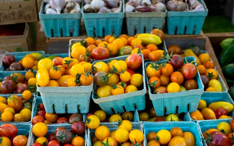Colorful heirloom tomatoes in cardboard pint baskets displayed at the Salmon Creek Farmers Market