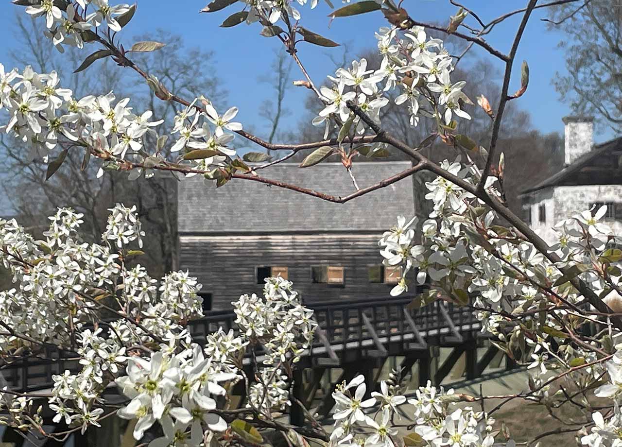 Phillipsburg Manor in Spring