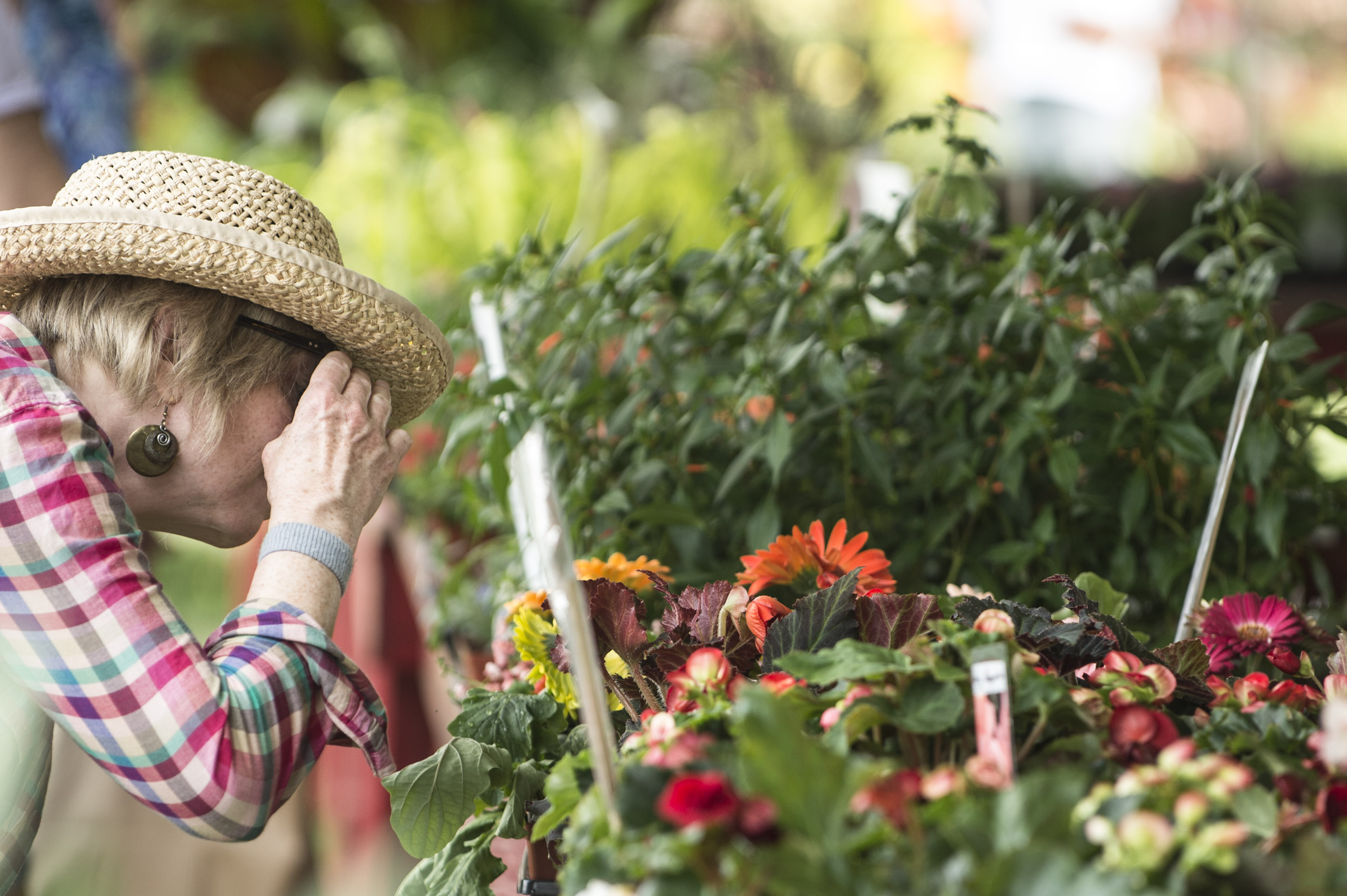 Women Looking at Flowers at Wilmington's Flower Market