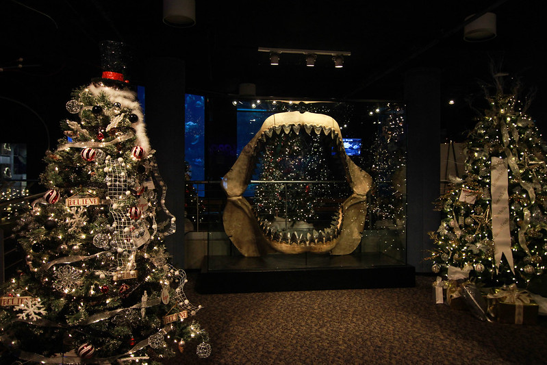 Festival of Trees at the NC Aquarium in Fort Fisher with shark jaws display