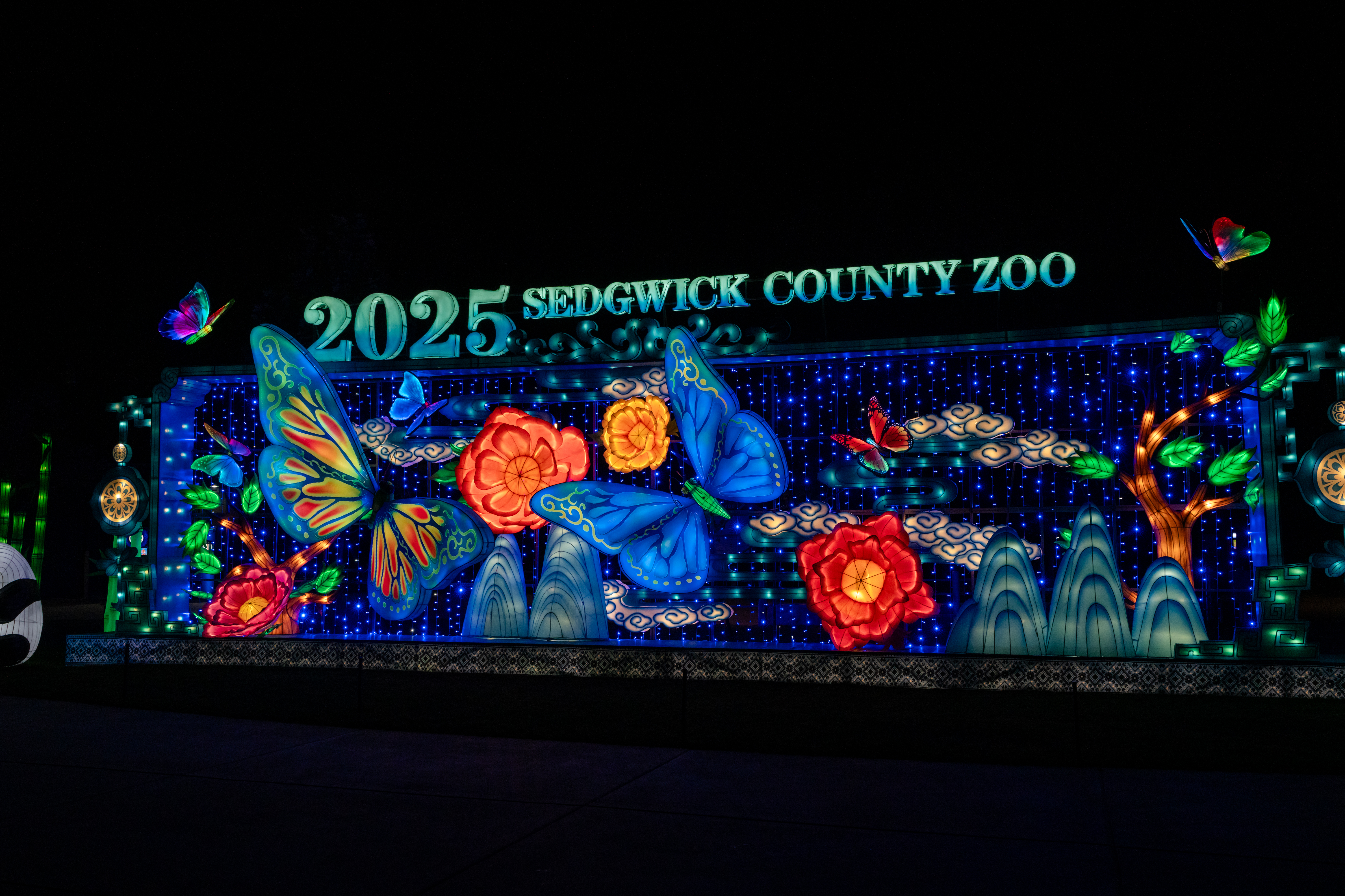 Wild Lights 2026
