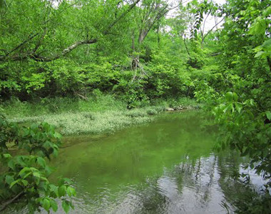 Antenen Nature Preserve Antenen Nature Preserve