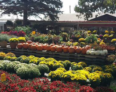 Browns Family Farm Market Garden Browns Family Farm Market Garden