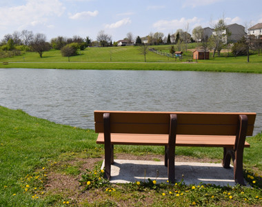Reserves Park pond Reserves Park pond