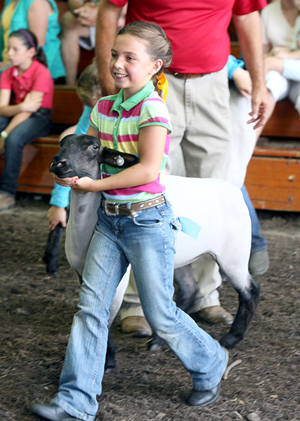 Fairgrounds Fairgrounds