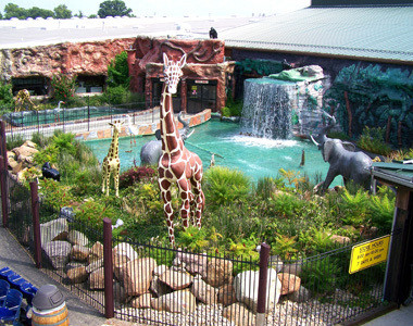 Jungle Jim's International Market Animal Pond Jungle Jim's International Market Animal Pond