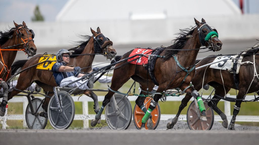 Standardbred Horse Racing at Century Downs Racetrack