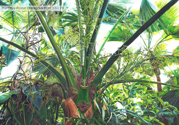 Plantasia Solo Exhibition by L.C. Cariou