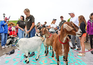 Roofing of the Goats Parade and Festival