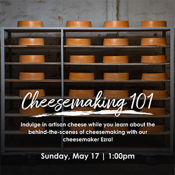 Cheesemaking 101