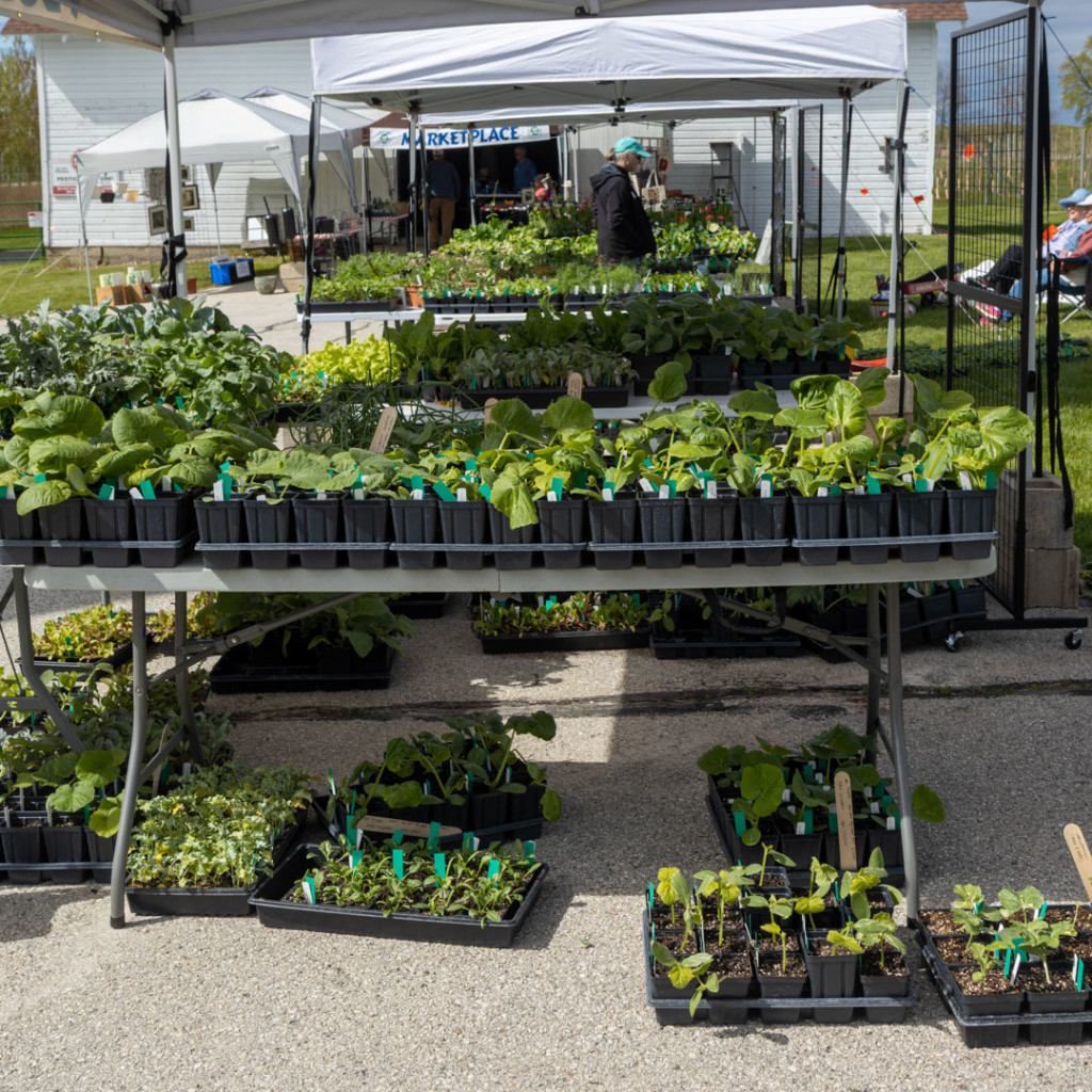 Door County Master Gardener Annual Plant Sale