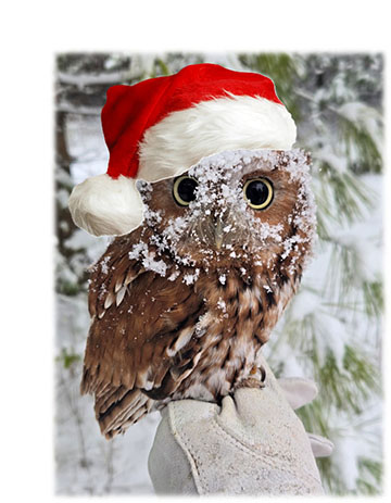 Owl-elujah Christmas
