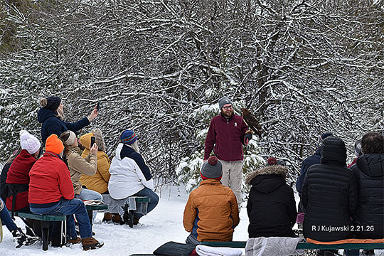 Experience Raptor Saturdays! at Open Door Bird Sanctuary