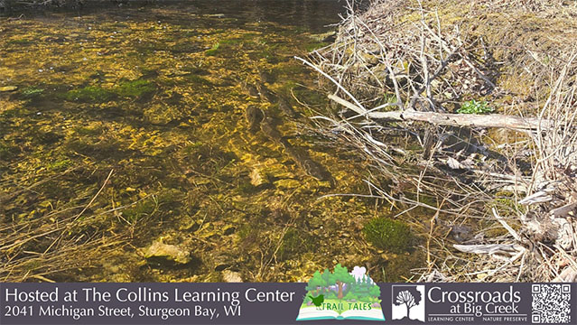 Talk: Creek Creatures