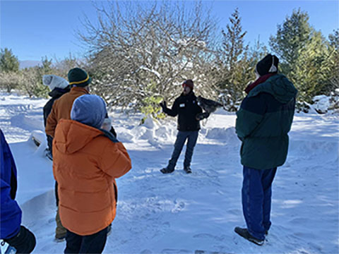 Experience Raptor Saturdays! at Open Door Bird Sanctuary